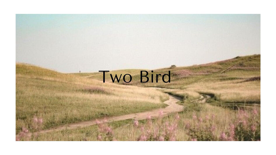 Two Bird